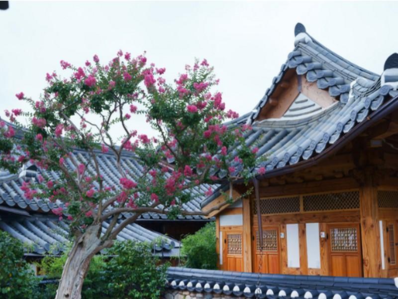 Dajeong Guesthouse Jeonju Ngoại thất bức ảnh
